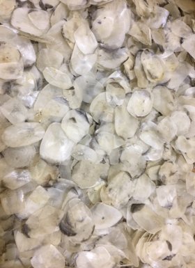 Dry fish scales